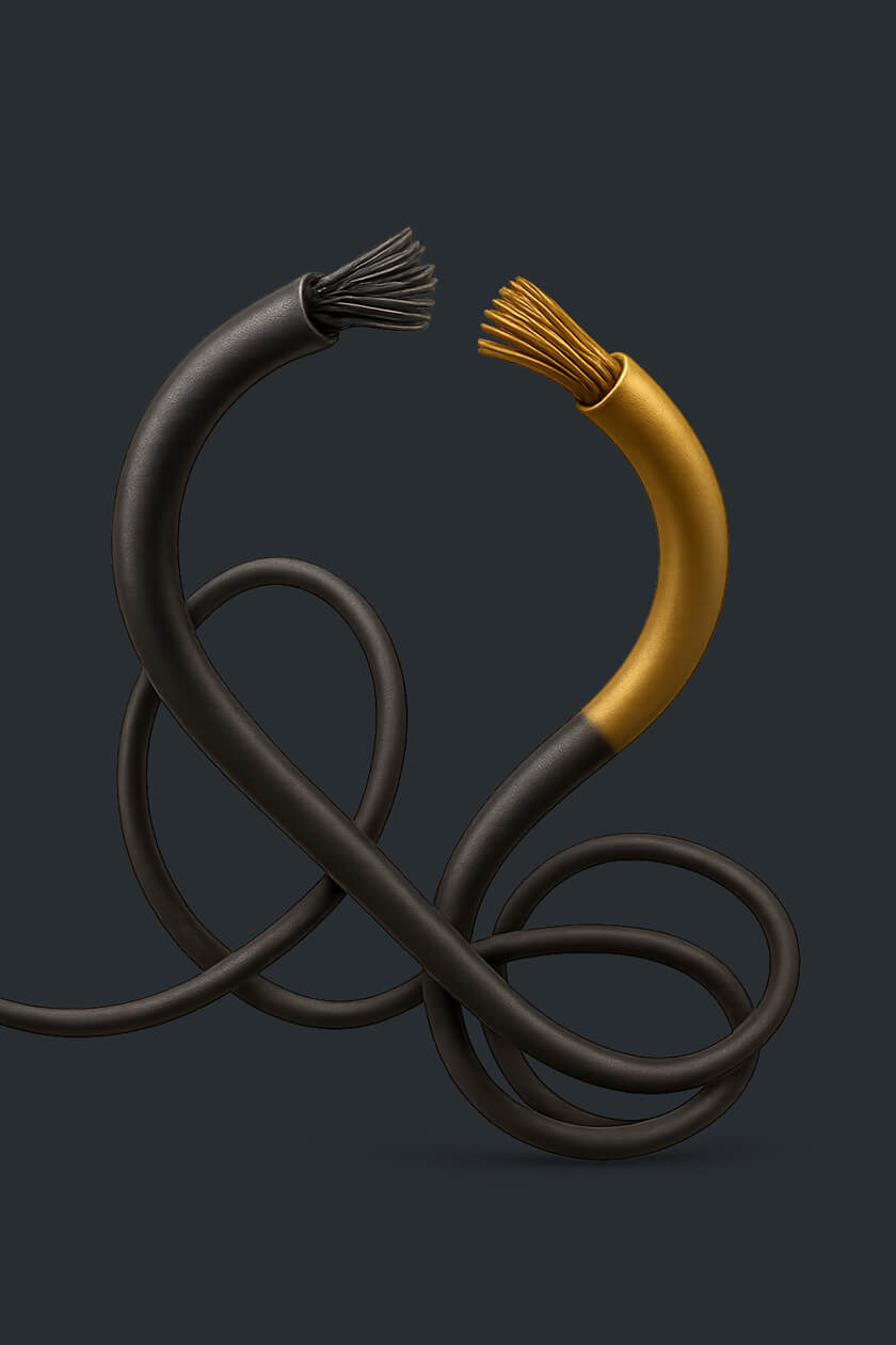 DEVELOP BRANDING 1 Gen Z – Authentic Connection