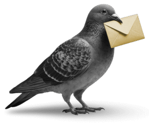 NETWORK Carrier Pigeon with a Gold Envelope
