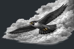 Marketing Designers and Jungian Archetypes 2 – Freedom