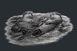 Marketing Designers and Jungian Archetypes 3 – Connection