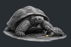 Marketing Designers and Jungian Archetypes 4 – Legacy