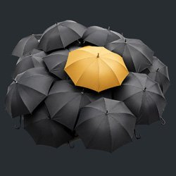 Design and Branding Fluency Principles 2 - Contrast
